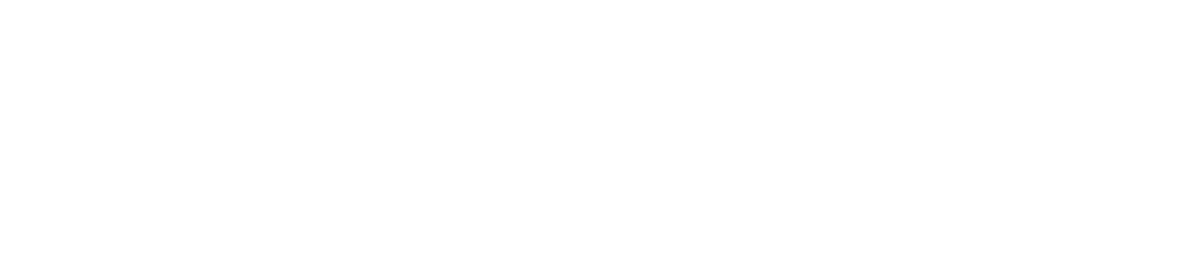 Torus logo